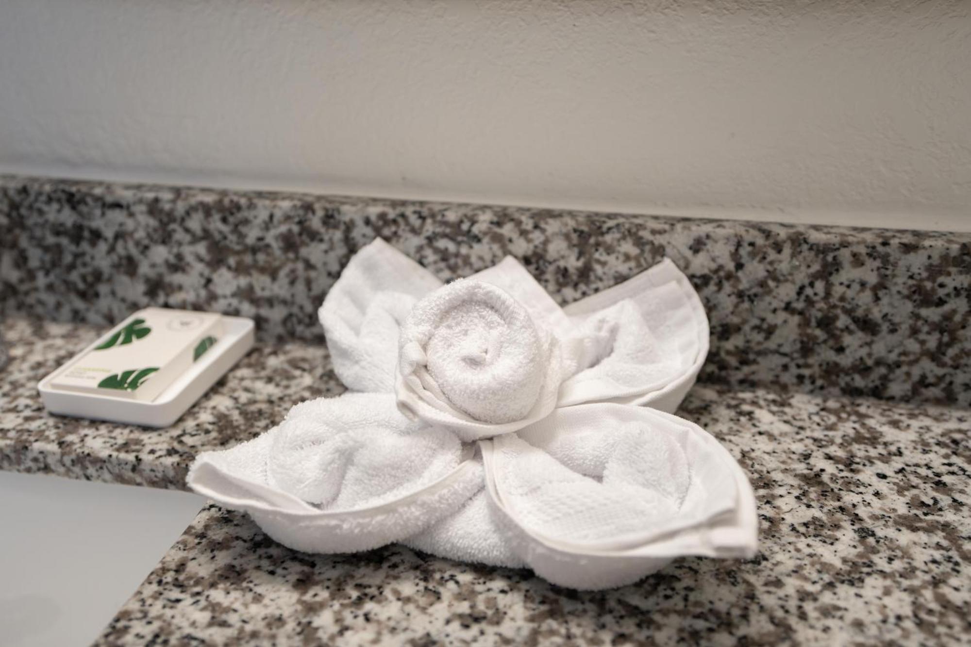 Oasis Bay Suites, Tampa, Busch Gardens, Usf Eksteriør bilde