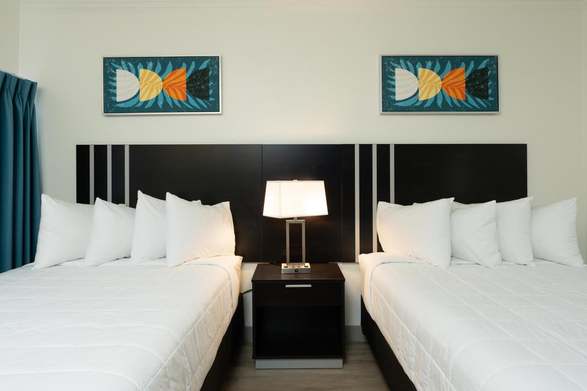 Oasis Bay Suites, Tampa, Busch Gardens, Usf Eksteriør bilde