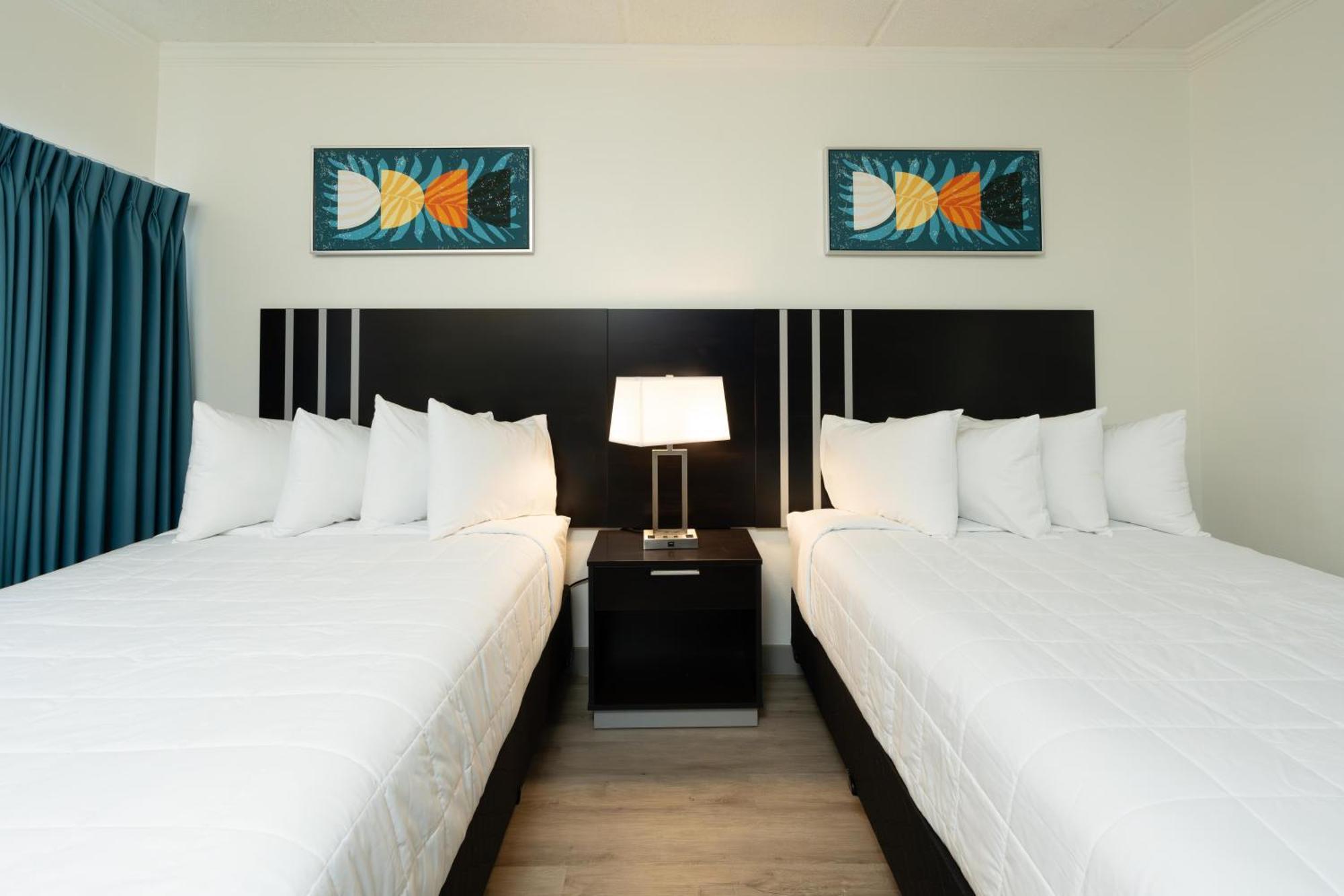 Oasis Bay Suites, Tampa, Busch Gardens, Usf Eksteriør bilde