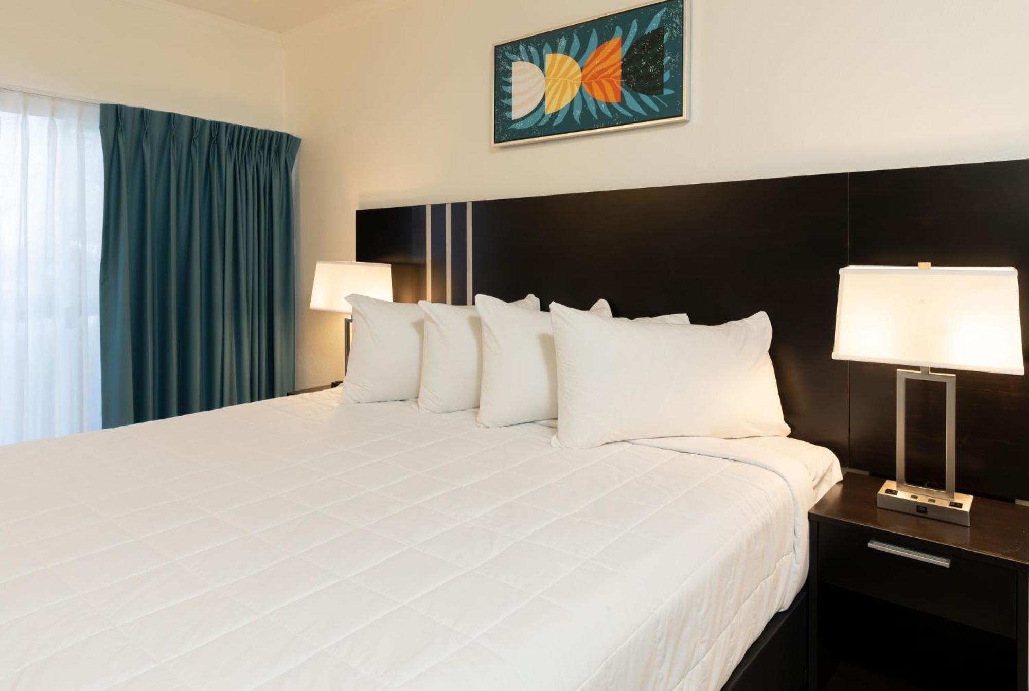 Oasis Bay Suites, Tampa, Busch Gardens, Usf Eksteriør bilde